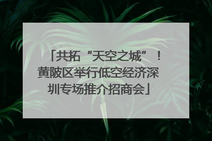 共拓“天空之城”！黄陂区举行低空经济深圳专场推介招商会