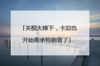 关税大棒下，卡尼也开始奉承特朗普了
