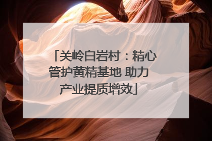 关岭白岩村：精心管护黄精基地 助力产业提质增效