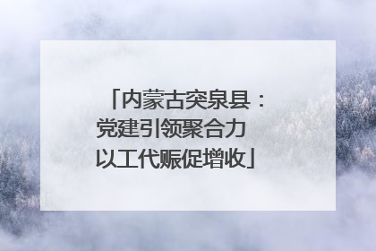 内蒙古突泉县：党建引领聚合力 以工代赈促增收