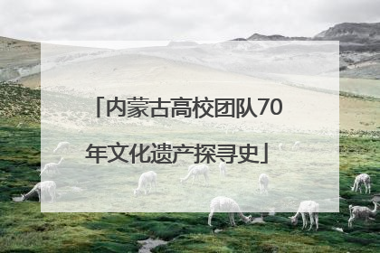 内蒙古高校团队70年文化遗产探寻史