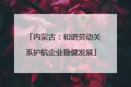 内蒙古：和谐劳动关系护航企业稳健发展