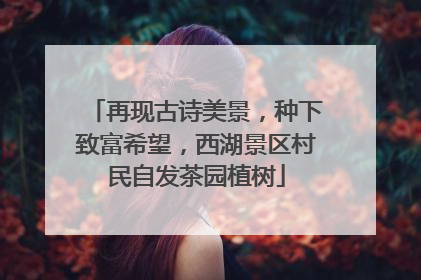 再现古诗美景，种下致富希望，西湖景区村民自发茶园植树