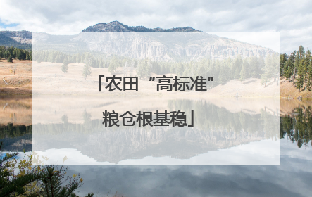 农田“高标准” 粮仓根基稳