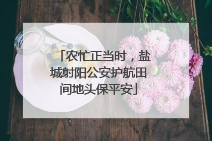 农忙正当时，盐城射阳公安护航田间地头保平安