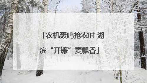 农机轰鸣抢农时 湖滨“开镰”麦飘香