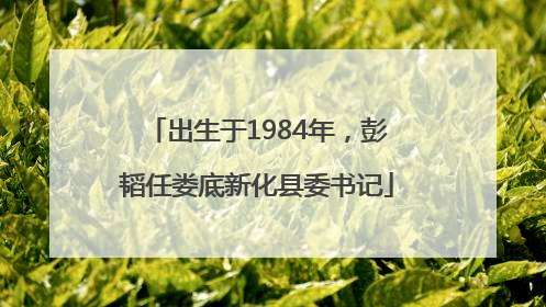 出生于1984年，彭韬任娄底新化县委书记