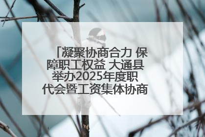 凝聚协商合力 保障职工权益 大通县举办2025年度职代会暨工资集体协商现场观摩交流活动