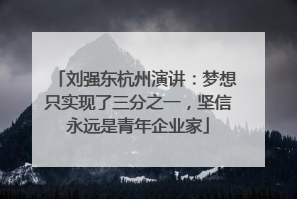 刘强东杭州演讲：梦想只实现了三分之一，坚信永远是青年企业家