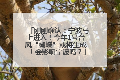 刚刚确认：宁波马上进入！今年1号台风“蝴蝶”或将生成！会影响宁波吗？
