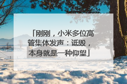 刚刚，小米多位高管集体发声：诋毁，本身就是一种仰望