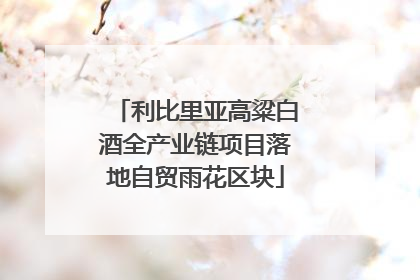 利比里亚高粱白酒全产业链项目落地自贸雨花区块