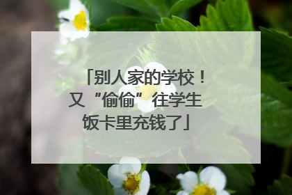 别人家的学校！又“偷偷”往学生饭卡里充钱了