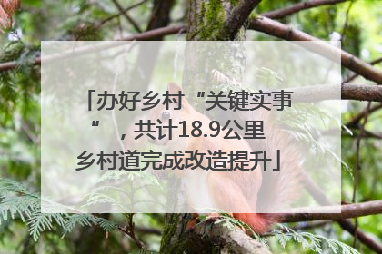 办好乡村“关键实事”，共计18.9公里乡村道完成改造提升
