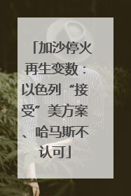 加沙停火再生变数：以色列“接受”美方案、哈马斯不认可