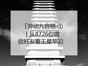 劳动九宫格 ①｜从8726位微信好友看王星苹的公益信仰与坚持