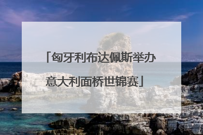 匈牙利布达佩斯举办意大利面桥世锦赛