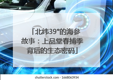 北纬39°的海参故事：上品堂春捕季背后的生态密码