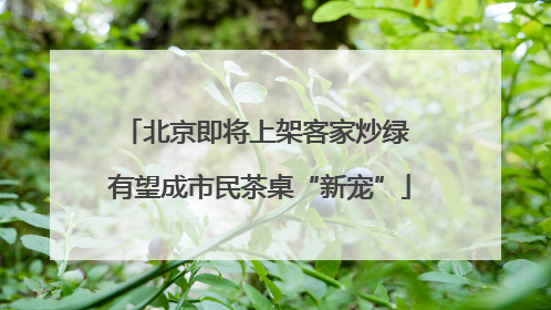 北京即将上架客家炒绿 有望成市民茶桌“新宠”