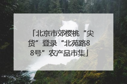 北京市郊樱桃“尖货”登录“北苑路88号”农产品市集