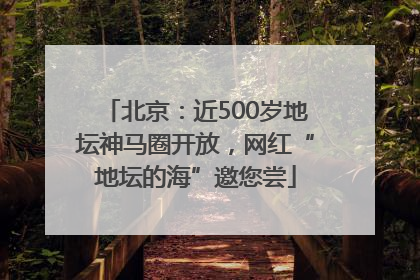 北京：近500岁地坛神马圈开放，网红“地坛的海”邀您尝