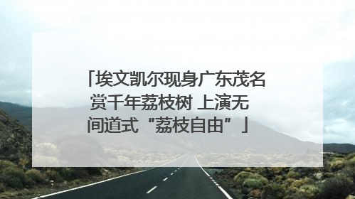 埃文凯尔现身广东茂名 赏千年荔枝树 上演无间道式“荔枝自由”