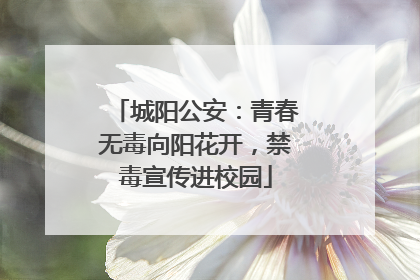 城阳公安：青春无毒向阳花开，禁毒宣传进校园
