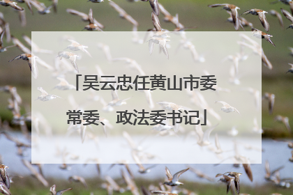 吴云忠任黄山市委常委、政法委书记