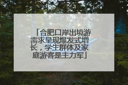 合肥口岸出境游需求呈现爆发式增长，学生群体及家庭游客是主力军