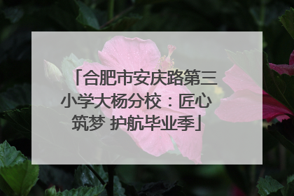 合肥市安庆路第三小学大杨分校：匠心筑梦 护航毕业季