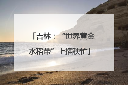 吉林：“世界黄金水稻带”上插秧忙