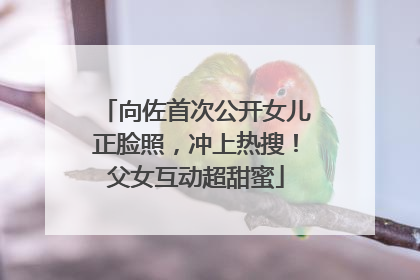 向佐首次公开女儿正脸照，冲上热搜！父女互动超甜蜜