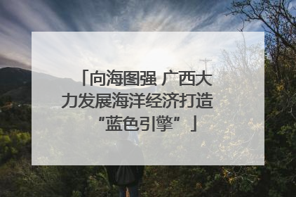 向海图强 广西大力发展海洋经济打造“蓝色引擎”