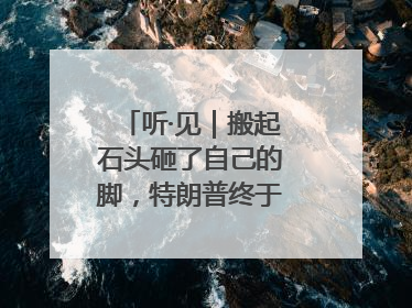 听·见｜搬起石头砸了自己的脚，特朗普终于“慌”了！