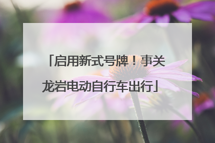 启用新式号牌！事关龙岩电动自行车出行