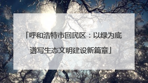 呼和浩特市回民区：以绿为底 谱写生态文明建设新篇章
