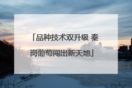 品种技术双升级 秦岗葡萄闯出新天地