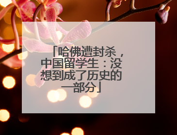 哈佛遭封杀，中国留学生：没想到成了历史的一部分