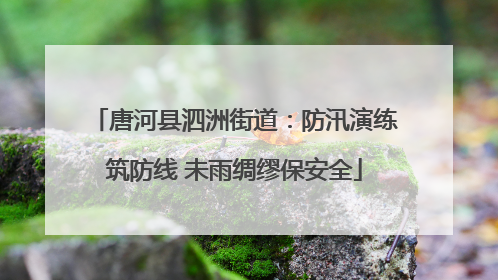 唐河县泗洲街道：防汛演练筑防线 未雨绸缪保安全