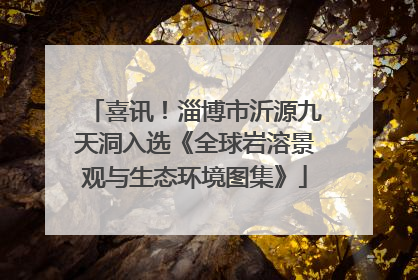喜讯！淄博市沂源九天洞入选《全球岩溶景观与生态环境图集》