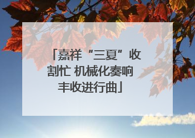 嘉祥“三夏”收割忙 机械化奏响丰收进行曲