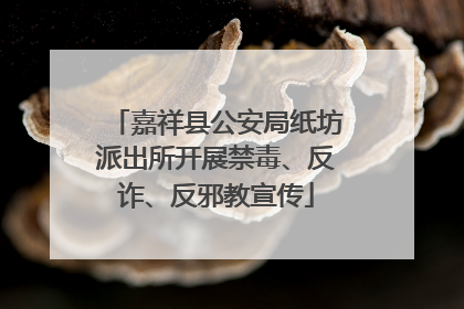 嘉祥县公安局纸坊派出所开展禁毒、反诈、反邪教宣传