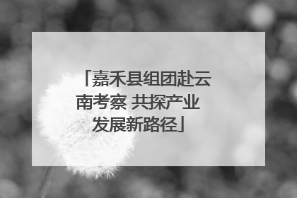 嘉禾县组团赴云南考察 共探产业发展新路径
