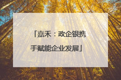 嘉禾：政企银携手赋能企业发展