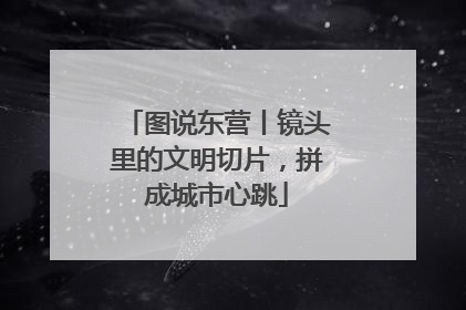 图说东营丨镜头里的文明切片，拼成城市心跳