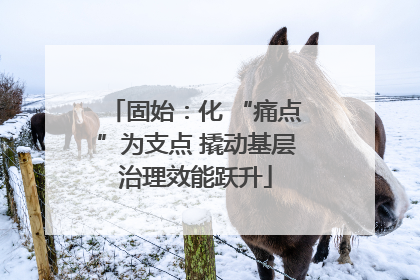 固始：化 “痛点”为支点 撬动基层治理效能跃升