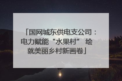 国网城东供电支公司：电力赋能“水果村” 绘就美丽乡村新画卷