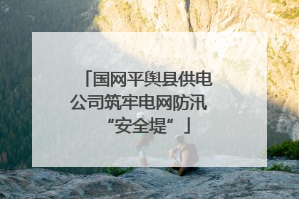 国网平舆县供电公司筑牢电网防汛“安全堤”