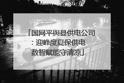 国网平舆县供电公司：迎峰度夏保供电  数智赋能守清凉