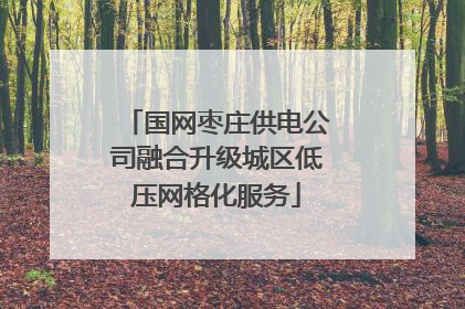 国网枣庄供电公司融合升级城区低压网格化服务
